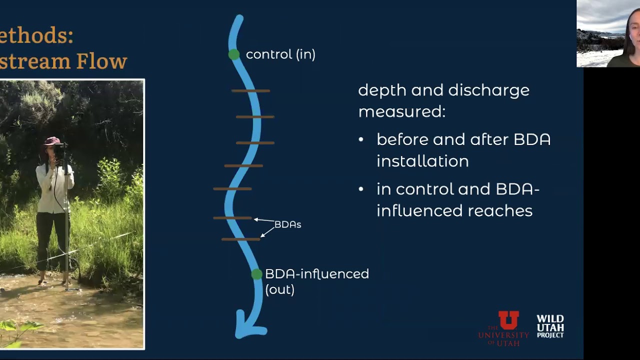 Stream Restoration With Beaver Dam Analogues: What Happened to the Water?