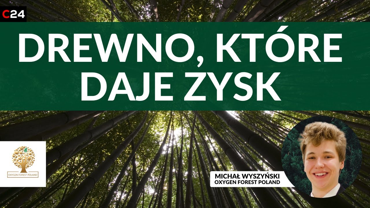 Automatyzacja branży drewnej | Oxygen Forest Poland sp. zoo