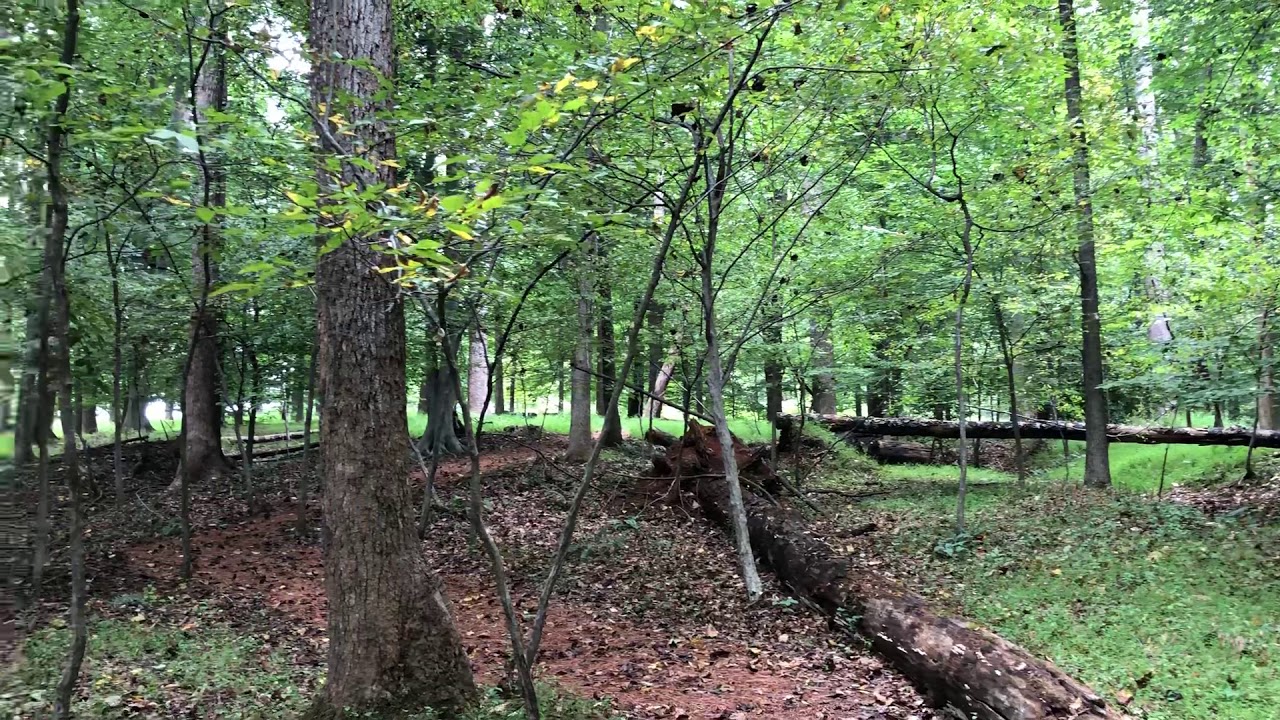 Glenstone : sound installation by Janet Cardiff & George Bures Miller