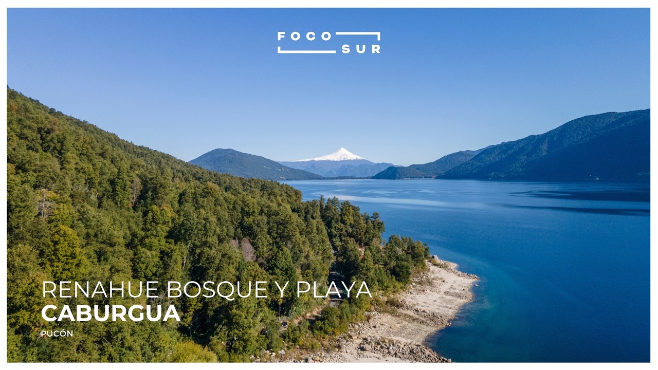 Renahue Bosque y Lago
