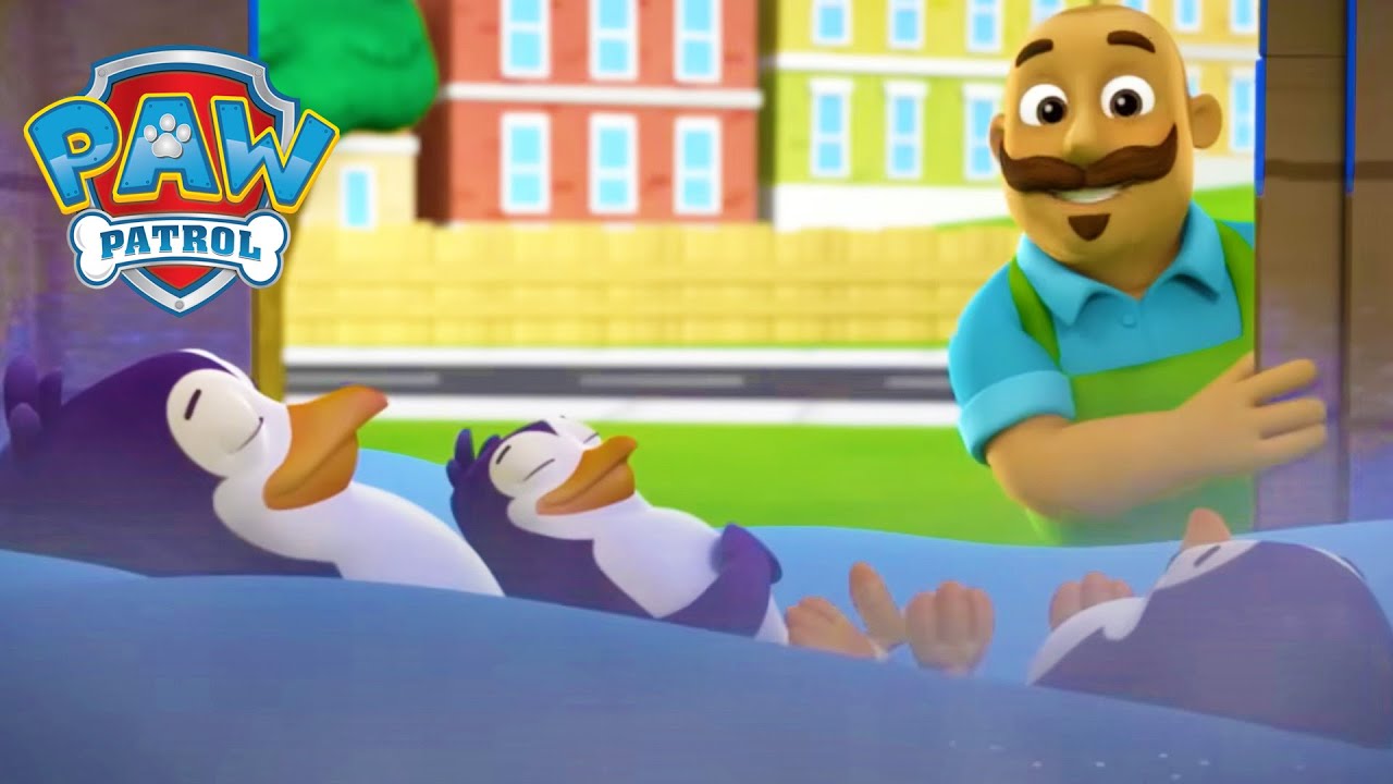 Největší záchrany zvířat! - Tlapková patrola PAW Patrol - pohádky pro děti