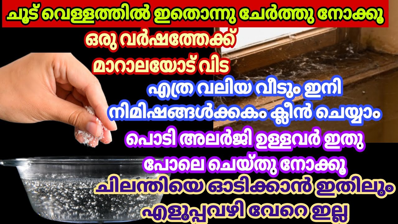 ചൂട് വെള്ളത്തിലേക്ക് ഇതൊന്നു ചേർത്തു നോക്കൂ|ഇനി മാറാലയോട് വിട|അലർജി ഉള്ളവർക്കും ക്ലീൻ ചെയ്യാം