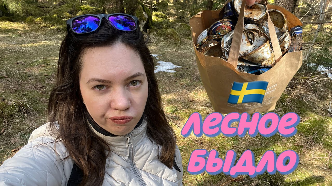 Шведский лес 47 : весенние находки и лесное быдло