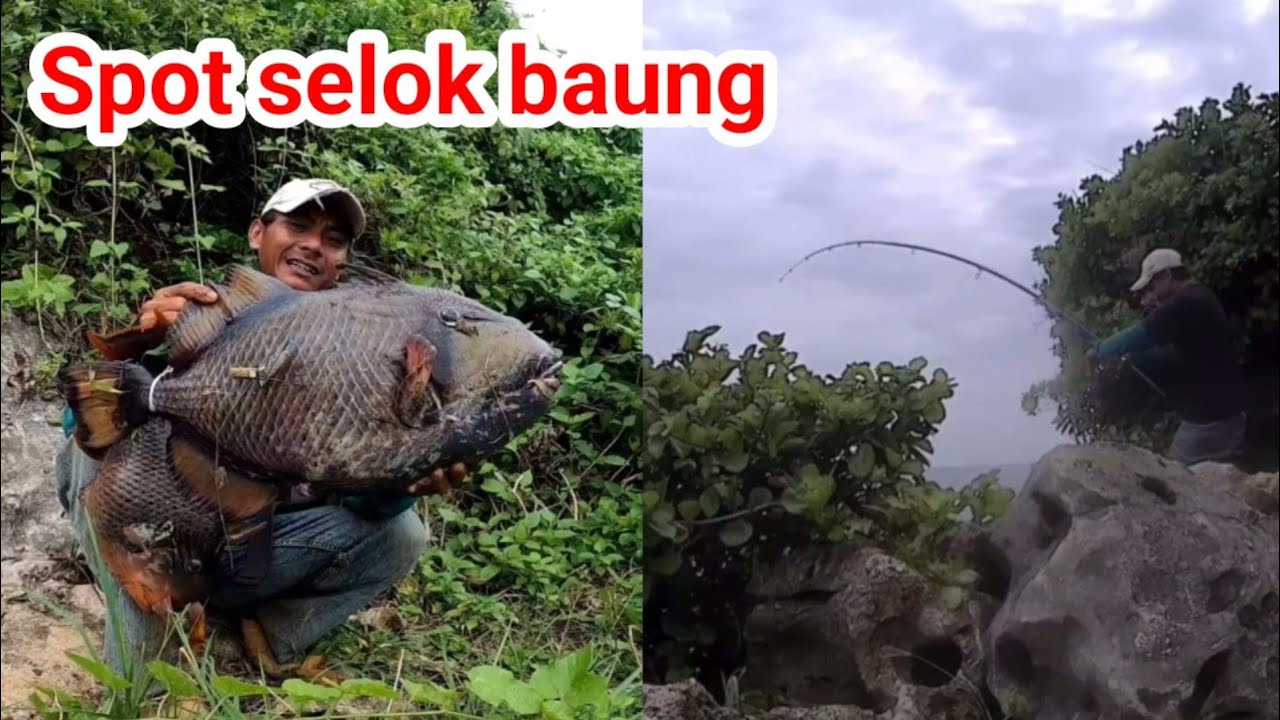 Resiko mancing sendiri di laut, ketinggian tebing 25 m || mancing ikan trigger fish