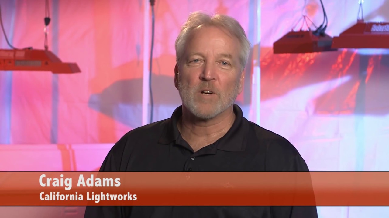 California LightWorks: The Leading Manufacturer of LED Grow Lights