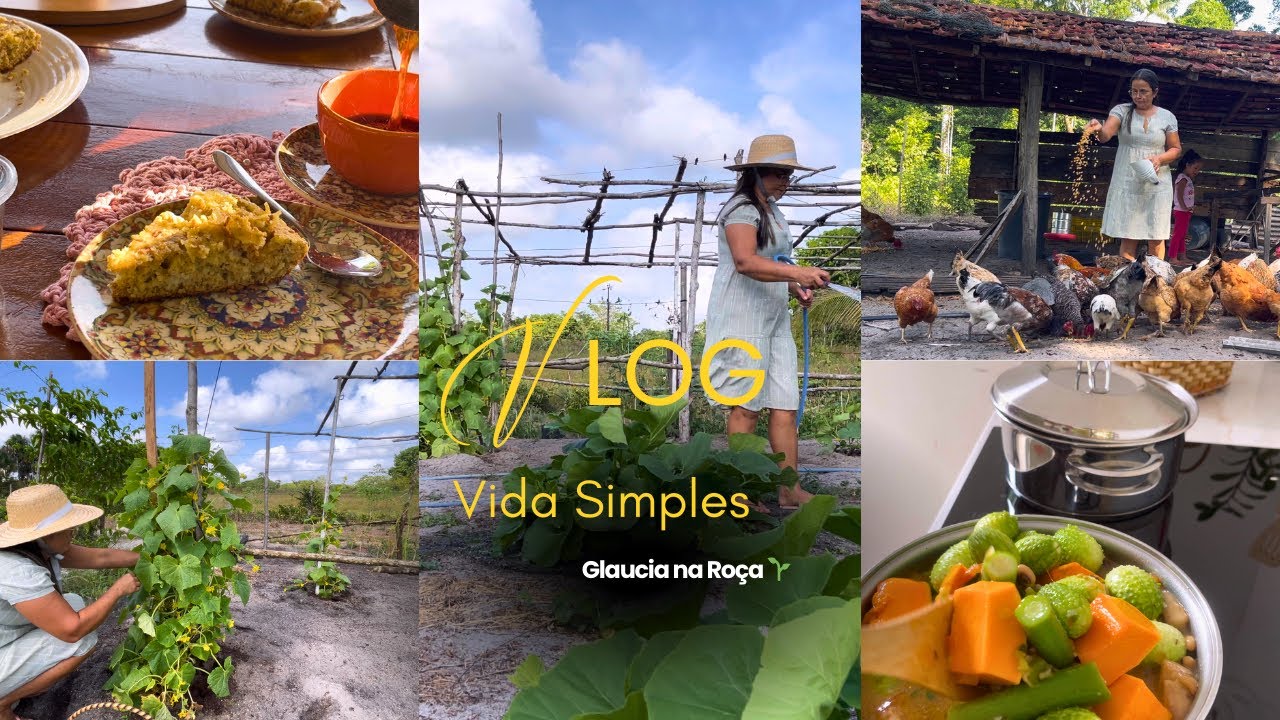 Quando a simplicidade vira o melhor da vida 💛 Rotina no Sítio 🌱#vidasimples 