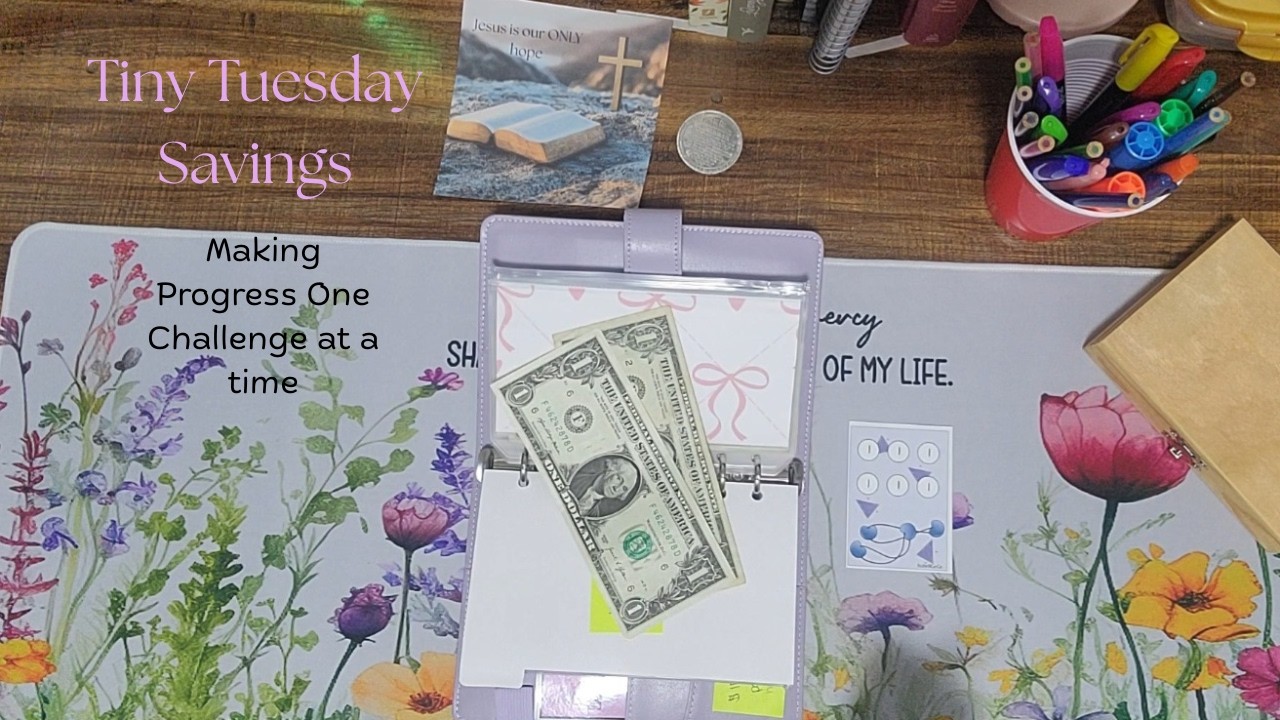 Tiny Tuesday (Making Progress one challenge at a time) #cashstuffing #savingschallenges #lowincome