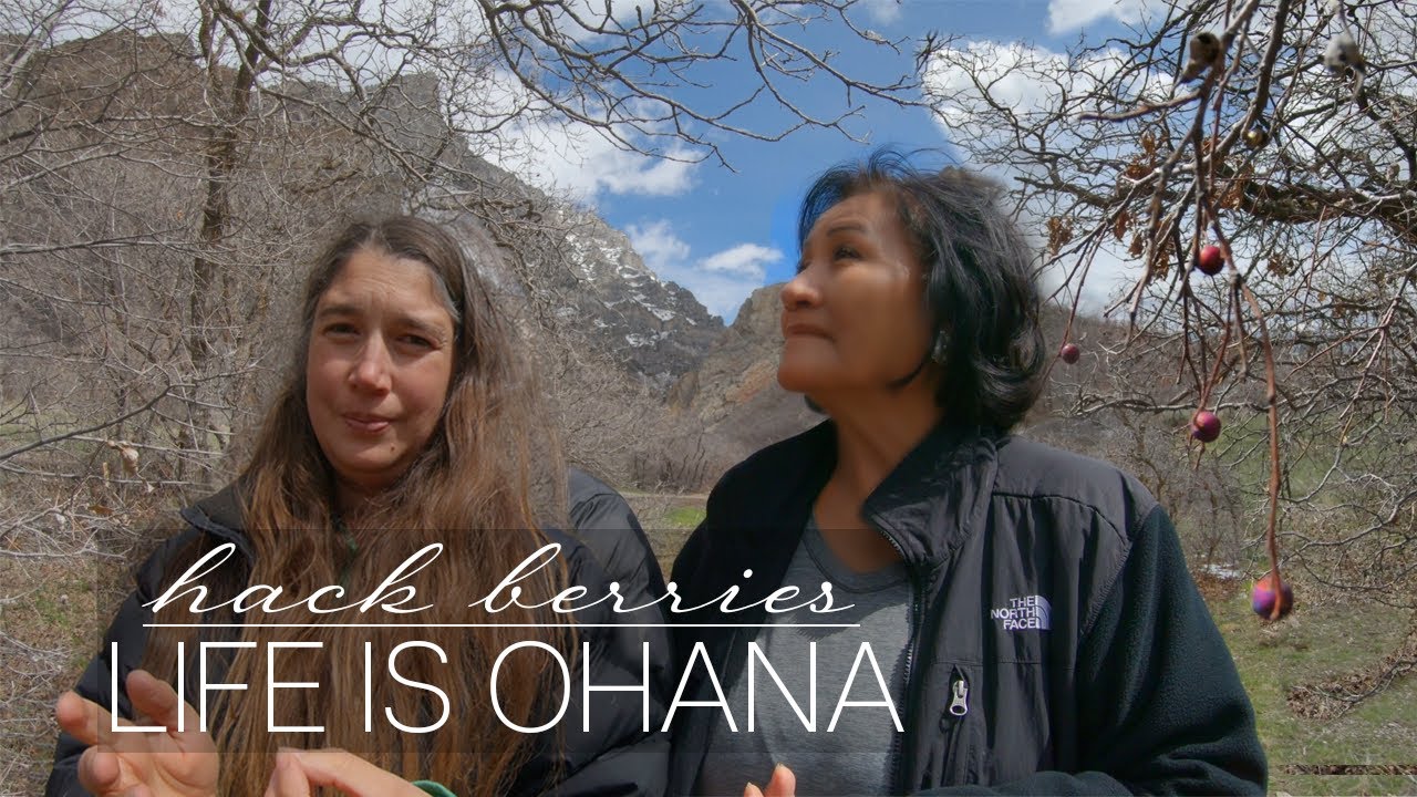 Utah Foraging with Navajo Grandma: Hack Berries a Native American Food