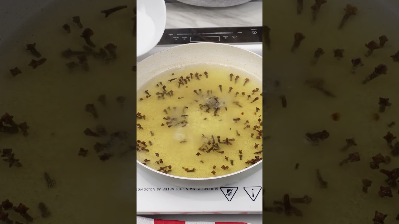 No more flies, ants, mosquito or cockroaches in house