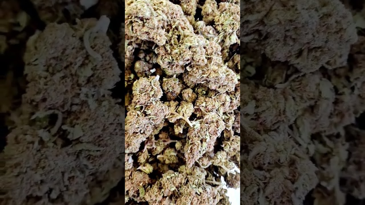 CBD Bl&uuml;ten Erdbeerli Haze Berry - Grosse Buds - vaporspirit.ch