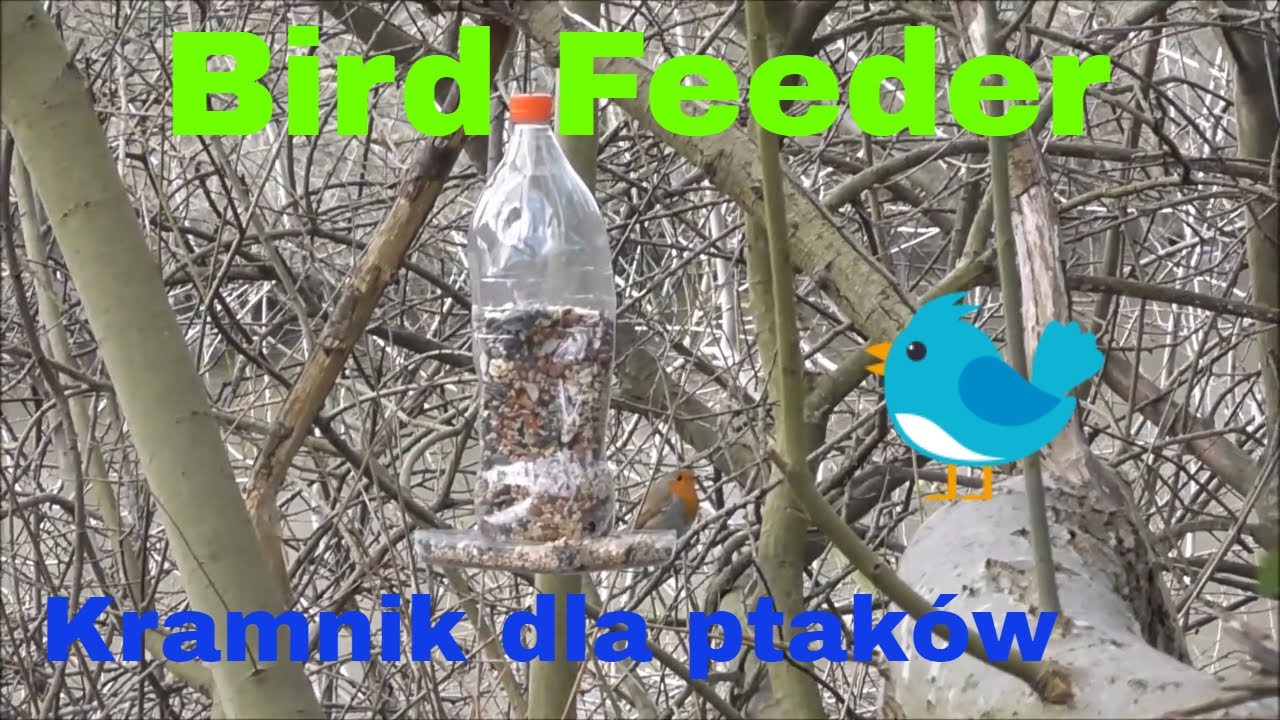 Karmnik dla ptakow z butelki PET -How to make a Bird Feeder from a Plastic Bottle.
