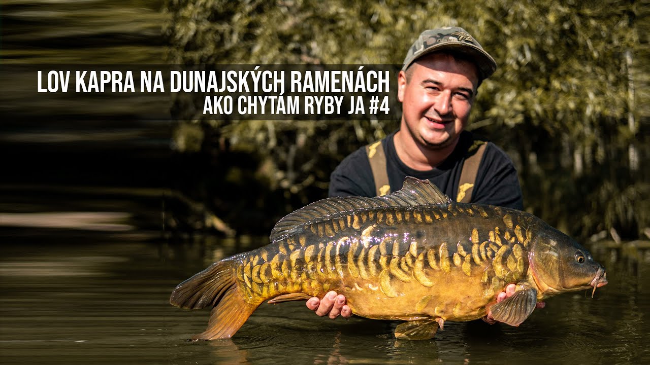 Lov Kapra na Dunajsk&yacute;ch Ramen&aacute;ch - Ako Chyt&aacute;m Ryby Ja #4