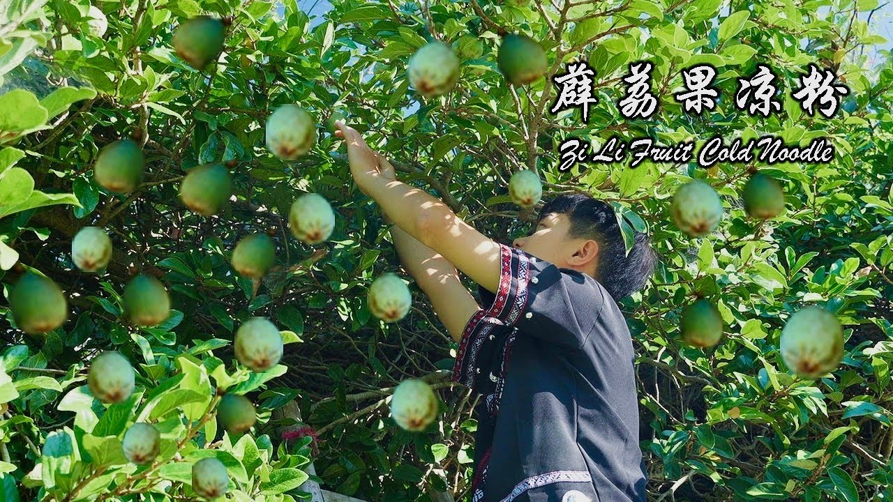 Make Your Own Cooling Jelly from Fresh Figs!！！霹雳果凉粉