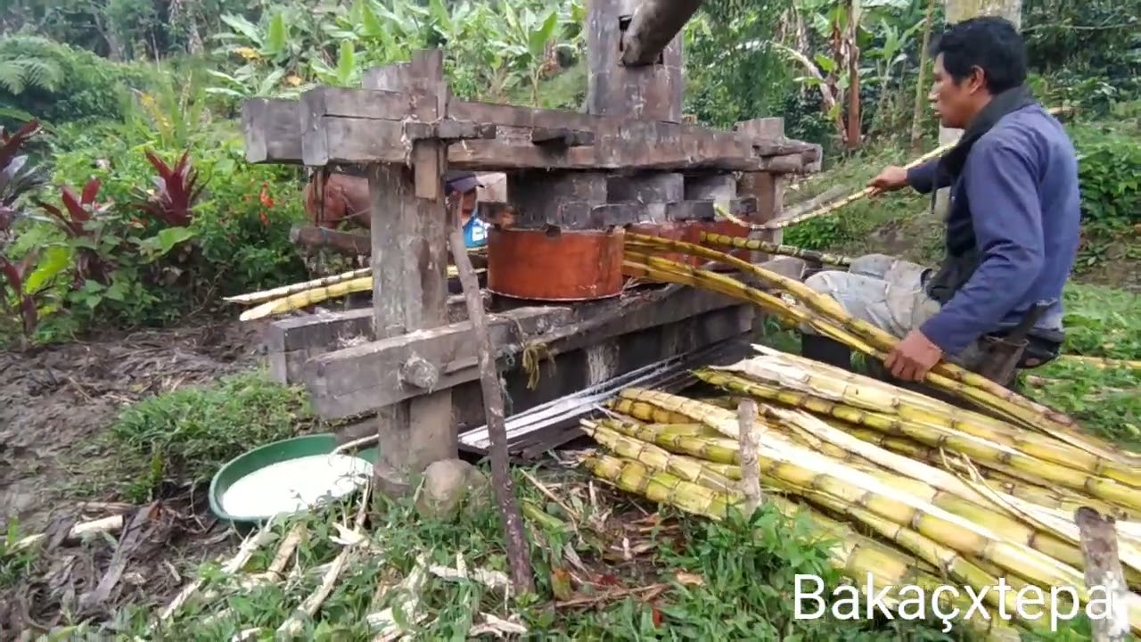 Trapiche de madera elaborado por las habilidades empíricas de nuestros mayores. Ewa pay pay gracias.