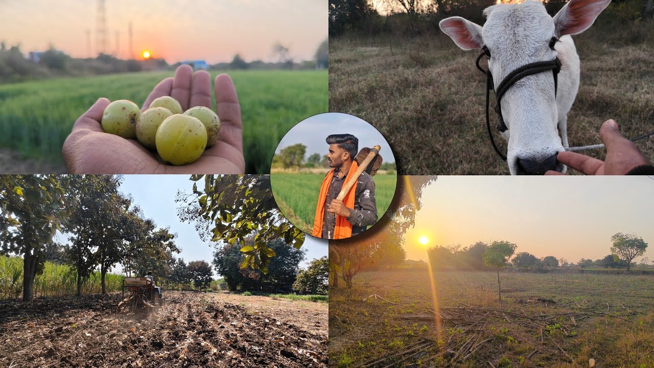 Mamacha gaon...😃 (Full-vlog) @Piyushsawant-vlogs #vlog #farming #villagelife #op #ps