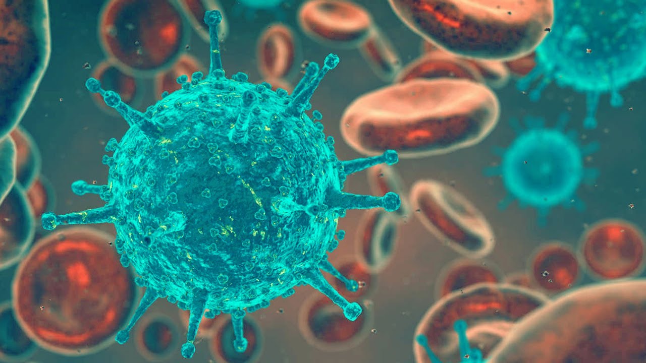 Why Major in Immunology? | The Undergraduate Immunology Program at UAB