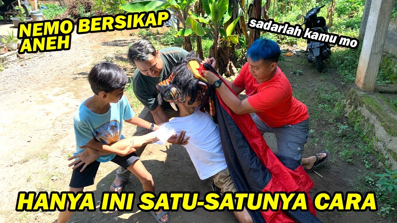 PENGECATAN BARONGAN TERPAKSA DIHENTIKAN !! Nemo mendadak bersikap aneh