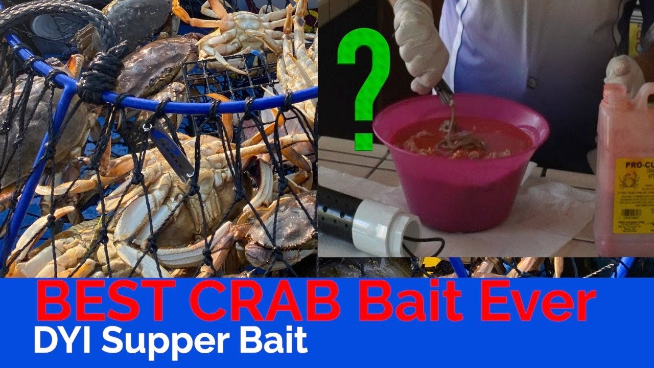 Best Crab Bait & how to make it Calling all CRAB