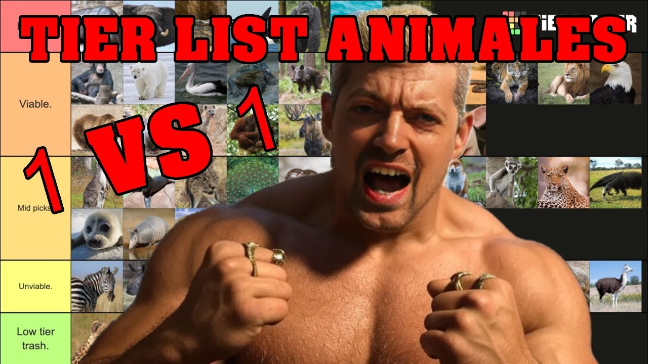 TIER LIST ANIMALES 1 VS 1