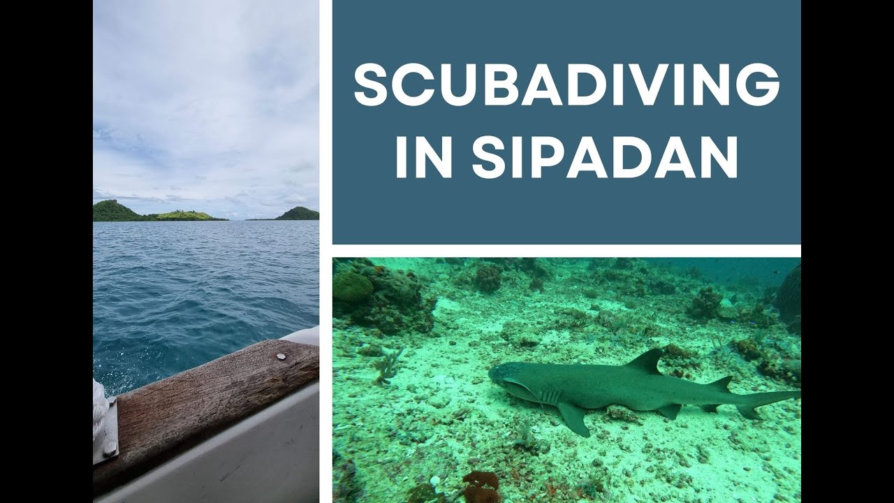 Scuba Diving Sipadan Island May 2022