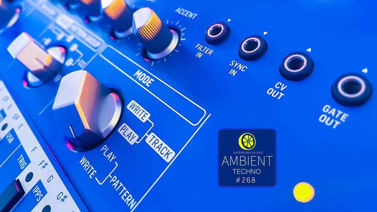 Dub Techno // Ambient // Atmospheric ACID // Analog Synths - Live! [EP-268]