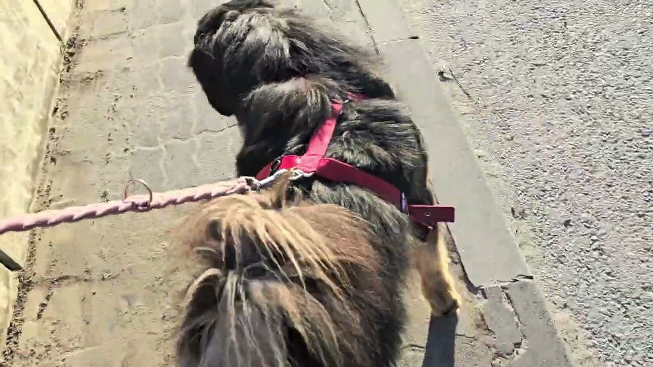 W Polsce coraz więcej nędzy, widząc strach Polak&oacute;w przed buntem, apetytyty złodziei rosną