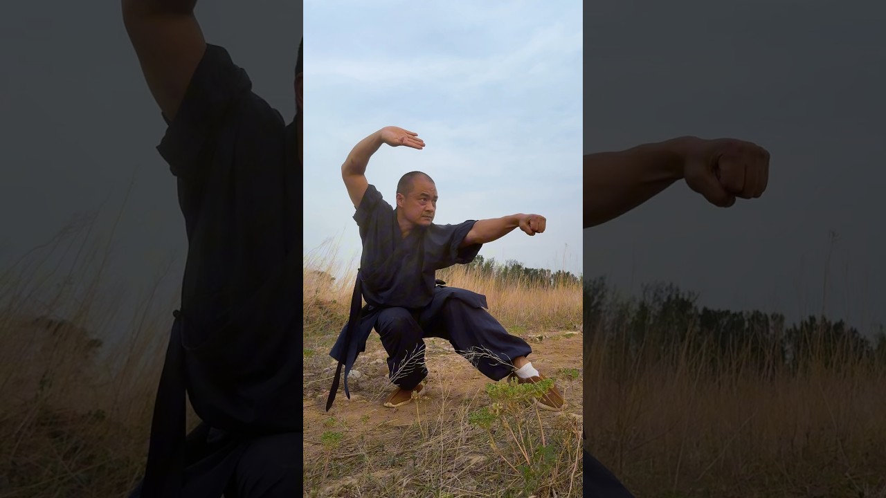 BAICHUAN BOXING MOVES || SHAOLIN MARTIAL ARTS #kungfu #shaolin