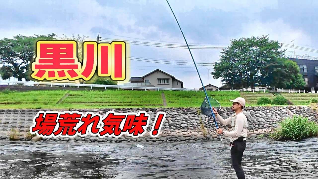 【鮎釣り】場荒れ気味の黒川釣行