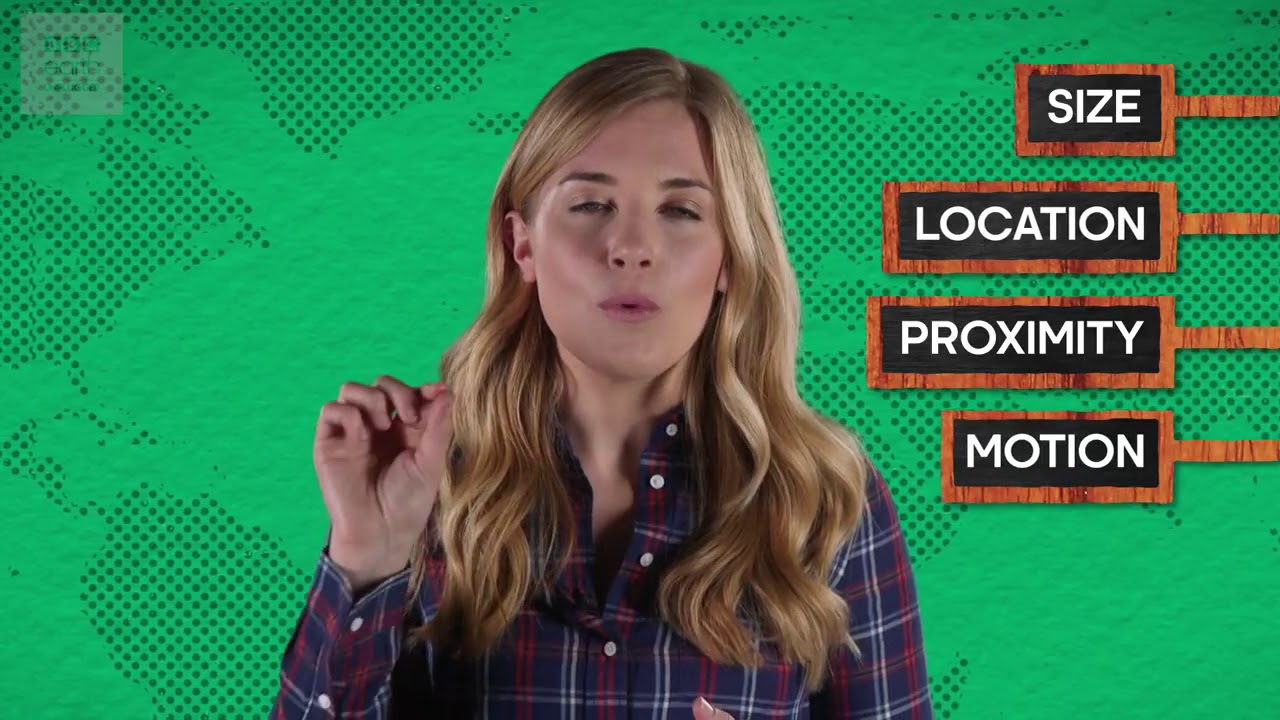 What Is Echolocation    Earth Unplugged