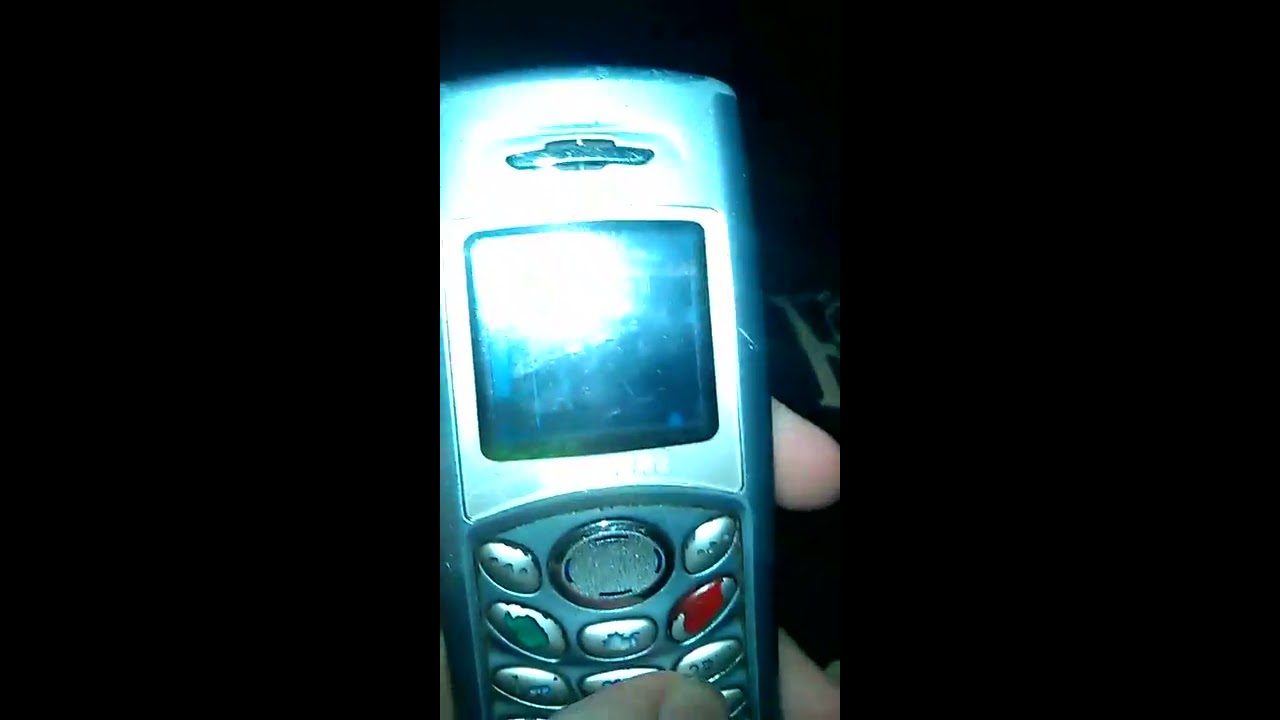 Samsung C110 review. (ringtones, startup, games, etc)﻿