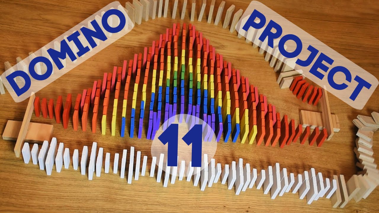 Domino-Project 11