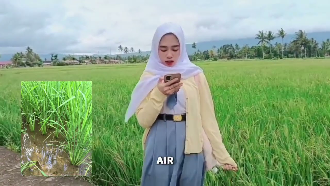 ekosistem sawah abiotik dan biotik 