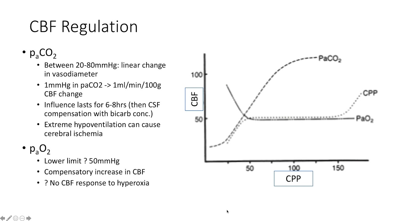Principles of Neurophysiology - (Dr. Rebel)