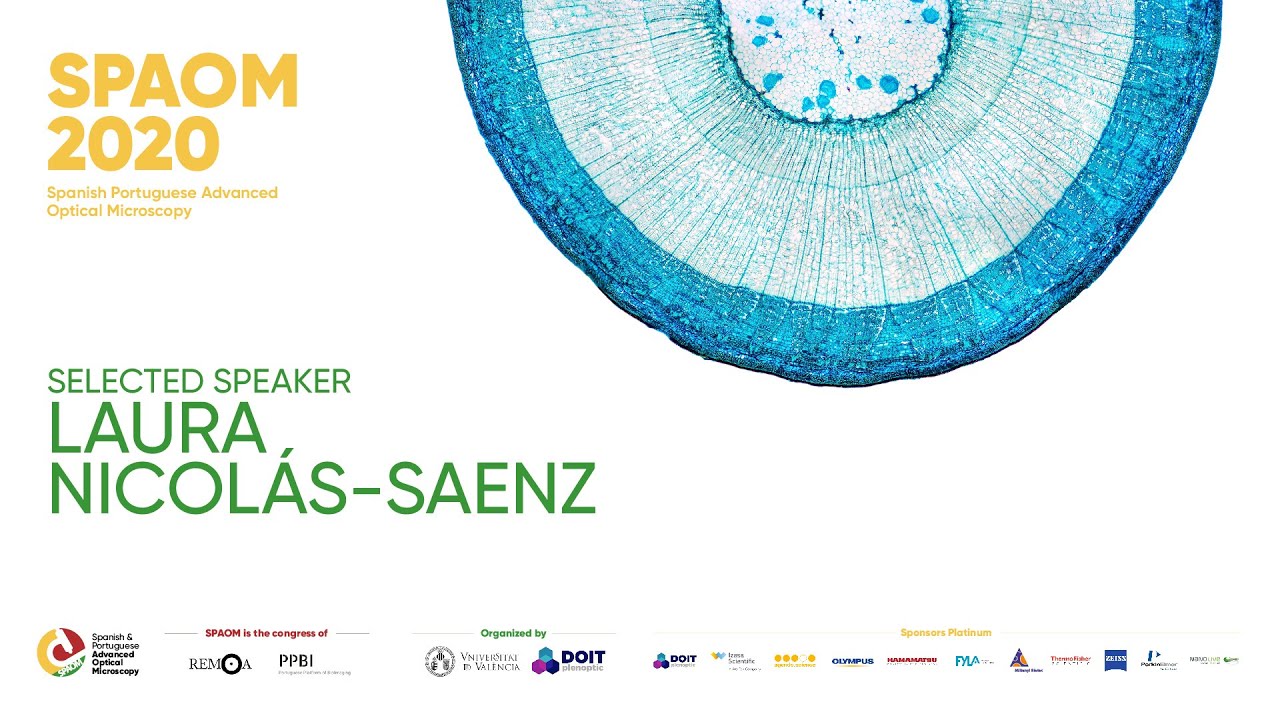 25N. Selected Speaker - Laura Nicolás-Saenz