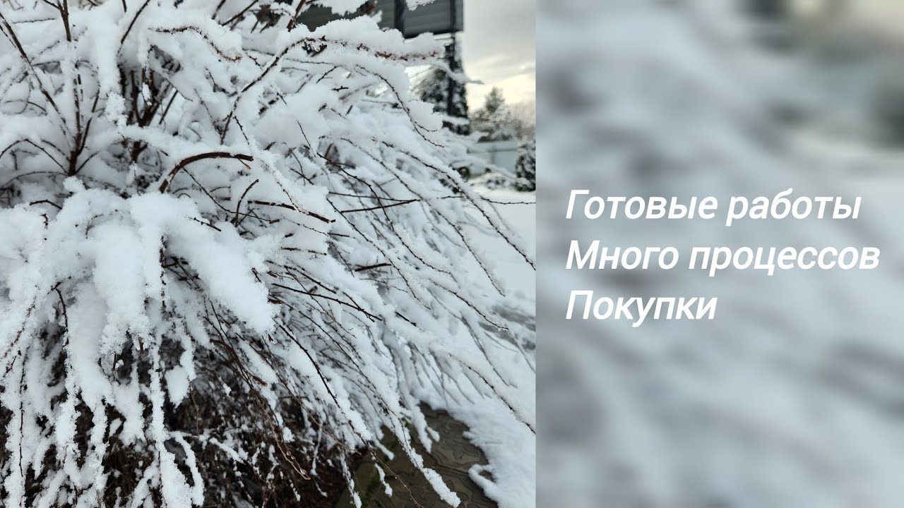 Эпизод. Готовые работы. Много новых проектов. Покупки.