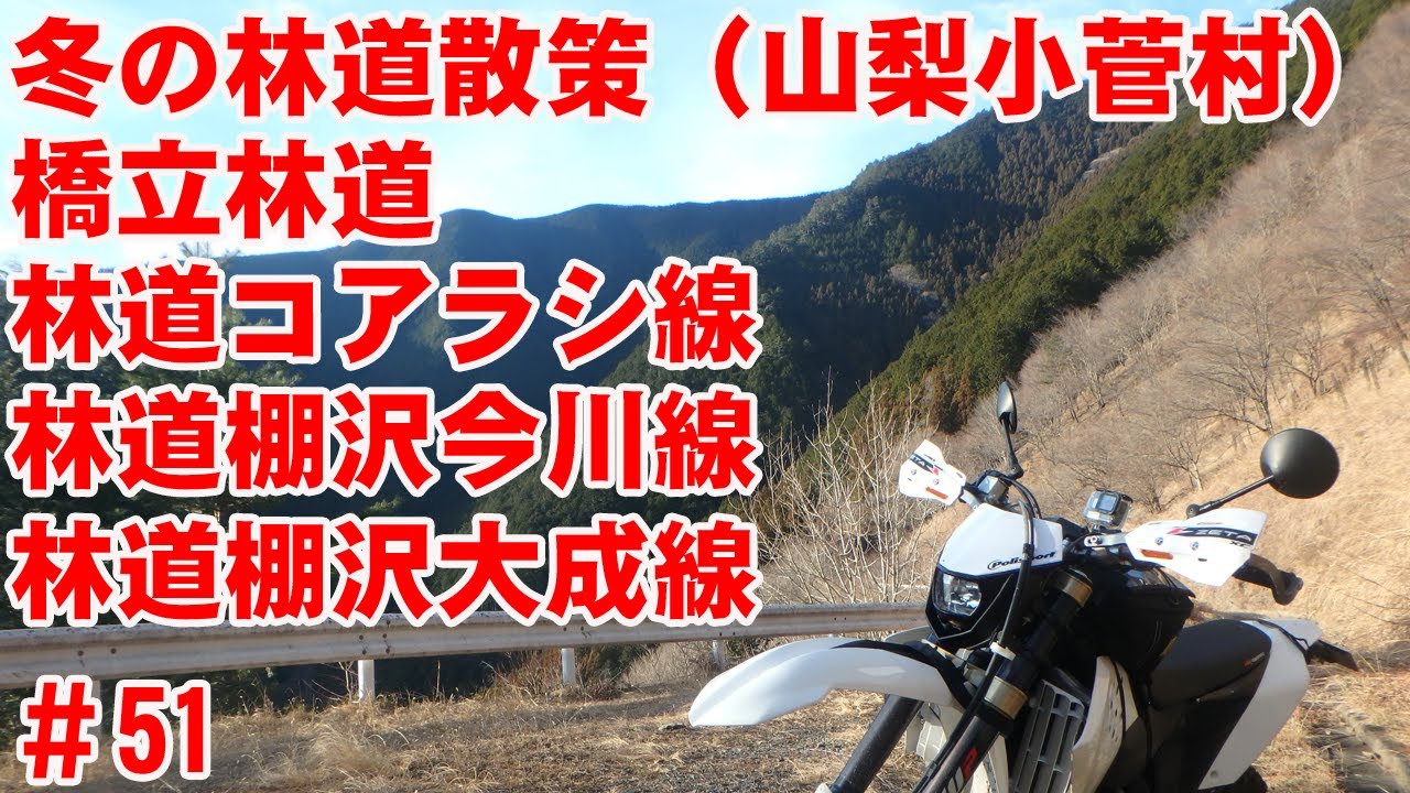 【小菅村の林道】冬の林道散策～小菅線から周辺林道４本【橋立・コアラシ・今川・大成】