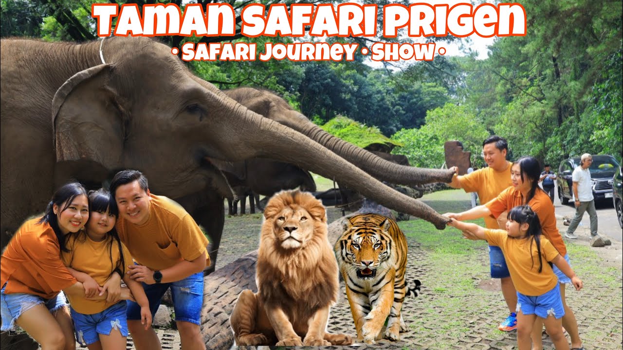 TAMAN SAFARI PRIGEN JAWA TIMUR | SAFARI JOURNEY | ANIMAL SHOW | TAMAN SAFARI