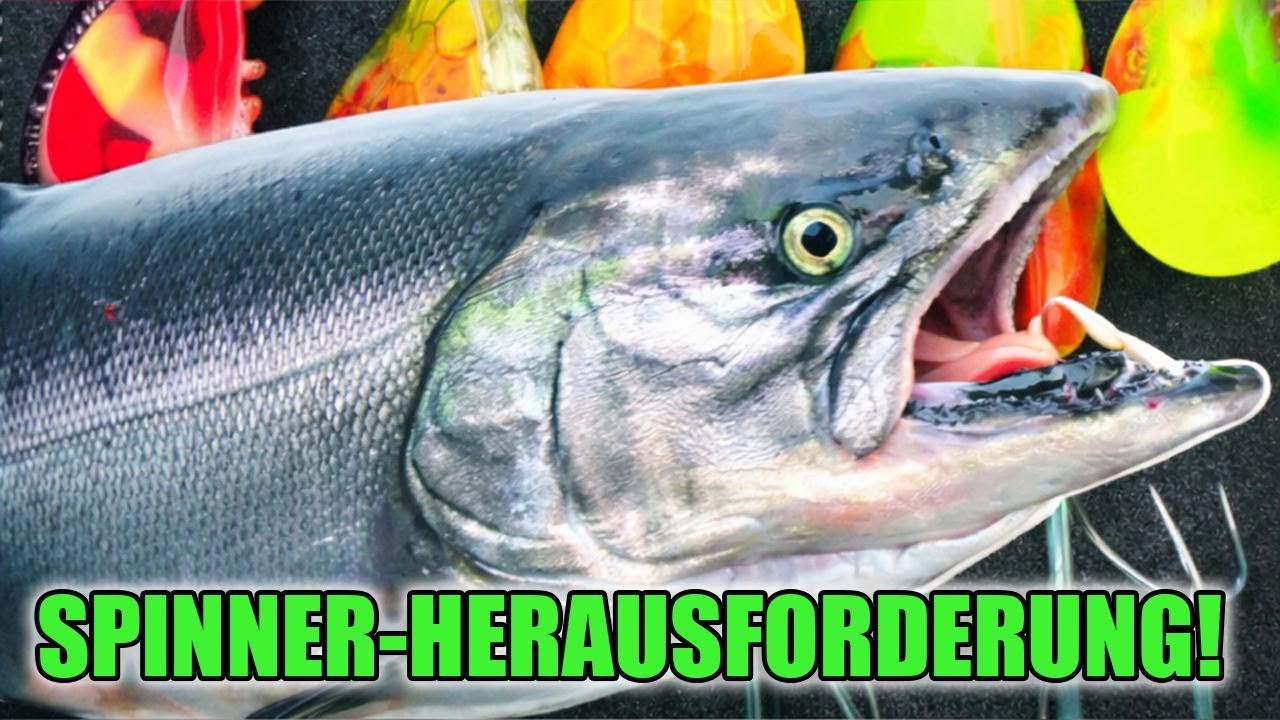 6 Fische mit 6 verschiedenen Ködern? Die $500 Shortbus Spinner Challenge auf dem Columbia River!