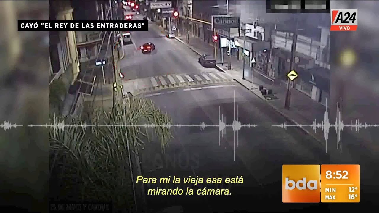 Cayó 