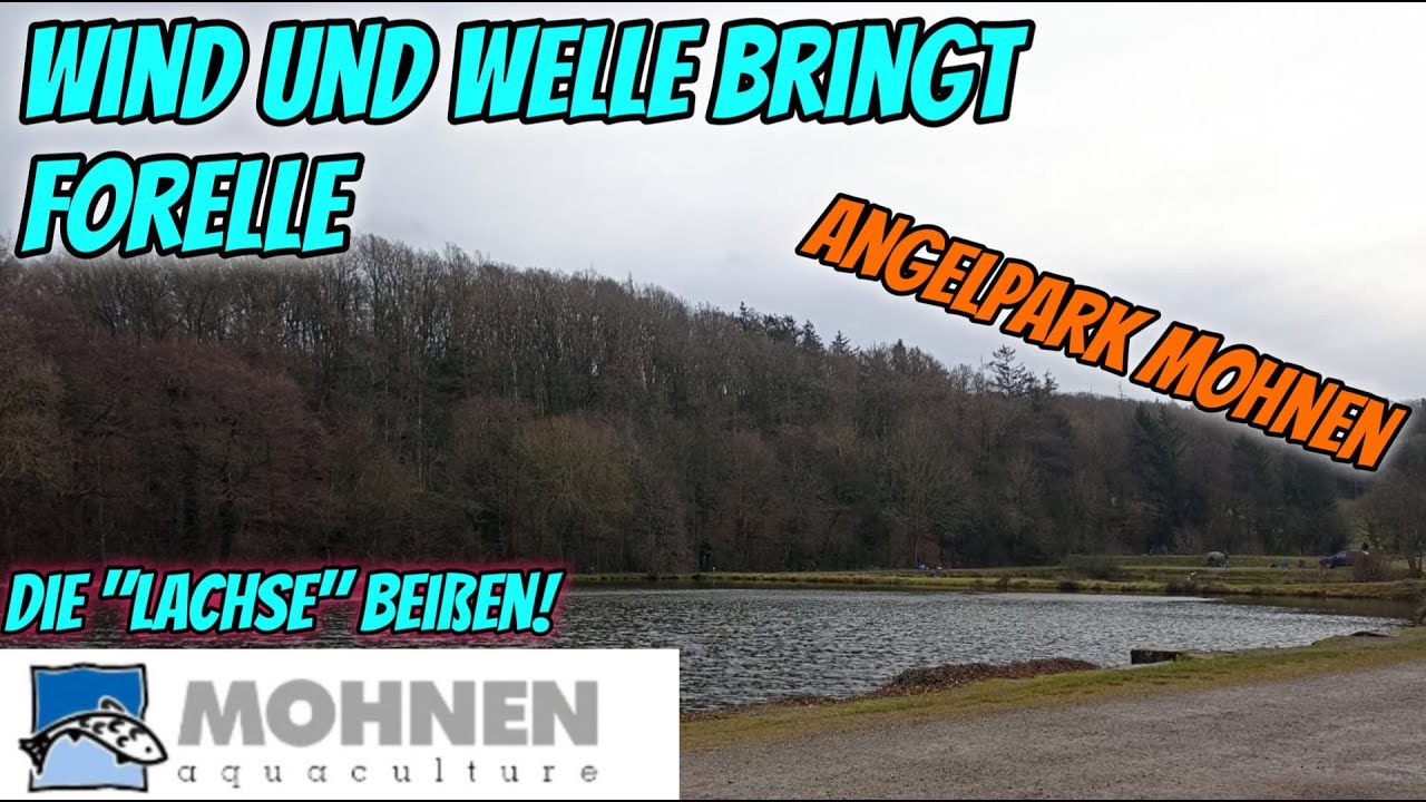 Forellenangeln Beim Angelpark Mohnen in Gressenich #forellenangeln #fishing