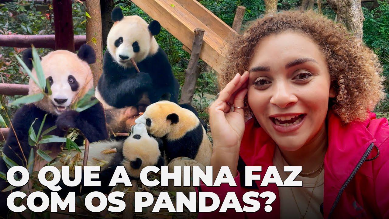 ASSIM É VIAJAR PELA CHINA 🇨🇳