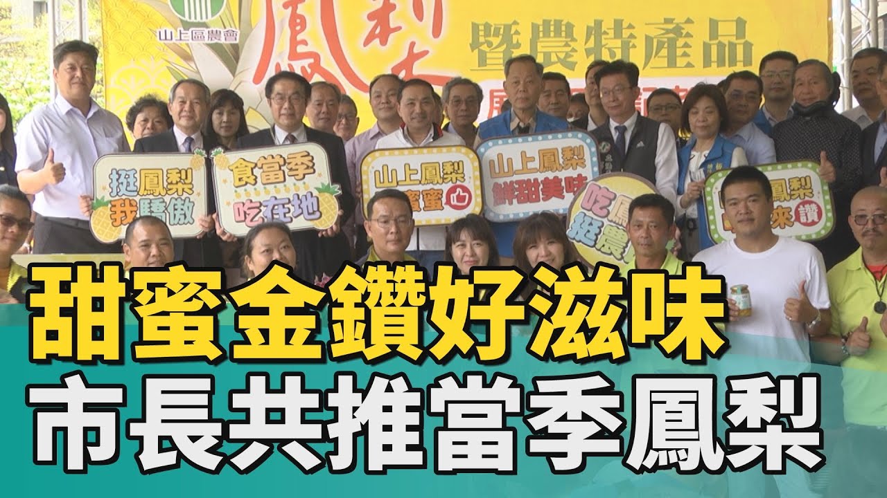 新北 鳳梨|甜蜜金鑽好滋味　南北市長共推當季鳳梨