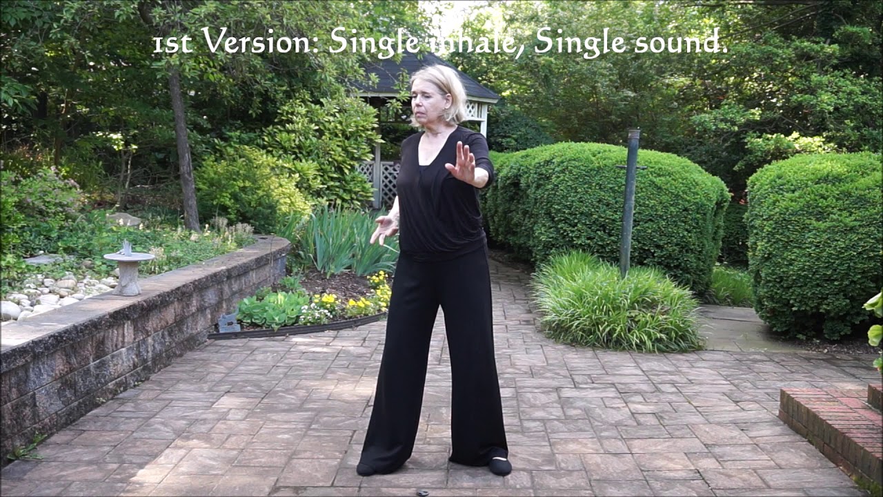 5 Yin Organ Qigong w Healing Sounds