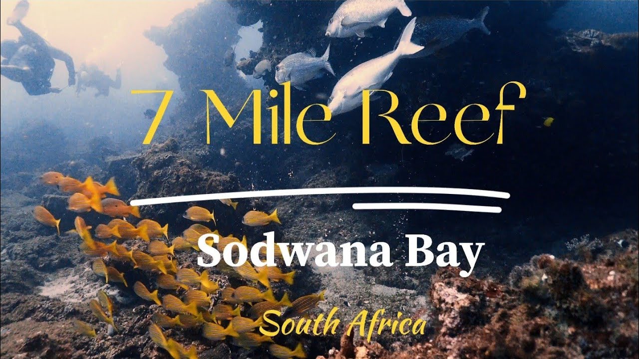 Sodwana Bay: Seven Mile Reef