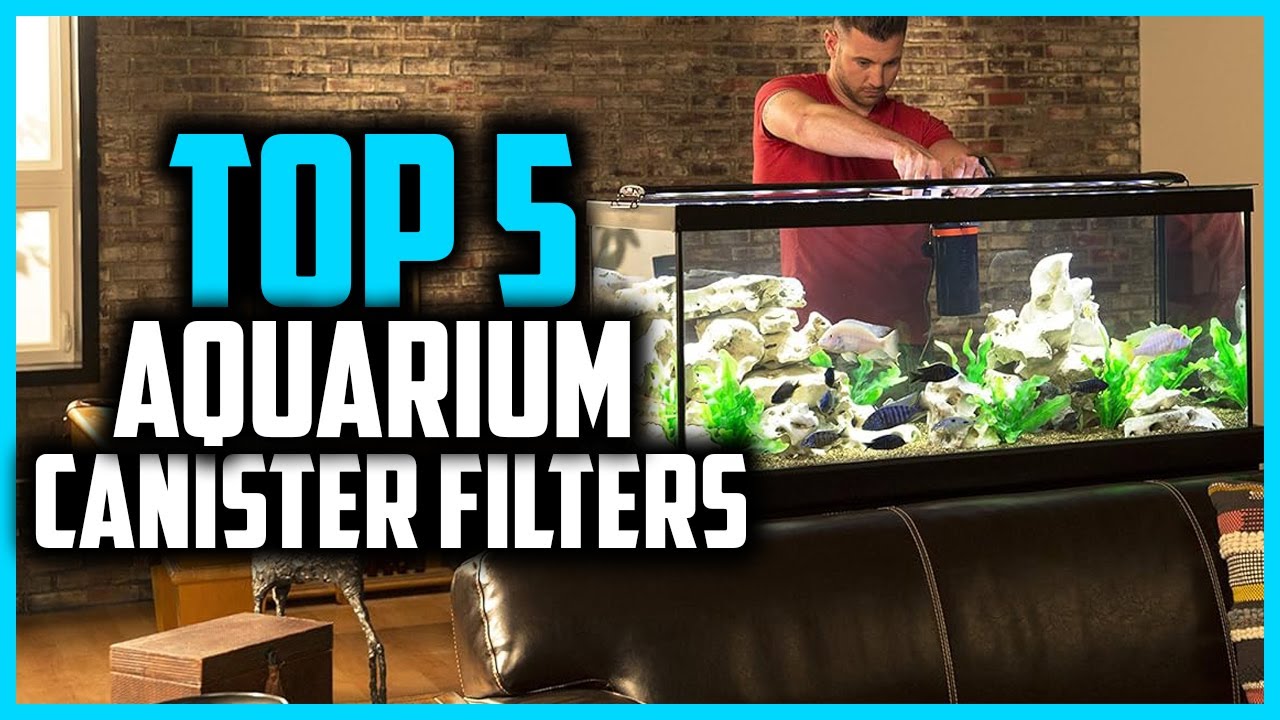 ✅ Top 5 Best Aquarium Canister Filters 2026