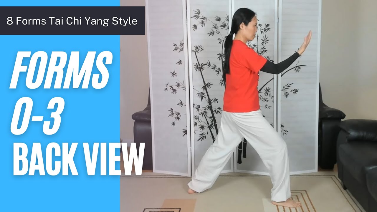 8 Forms Tai Chi, Up to Form 3 Part the Wild Horse's Mane in Back View with Verbal Cues
