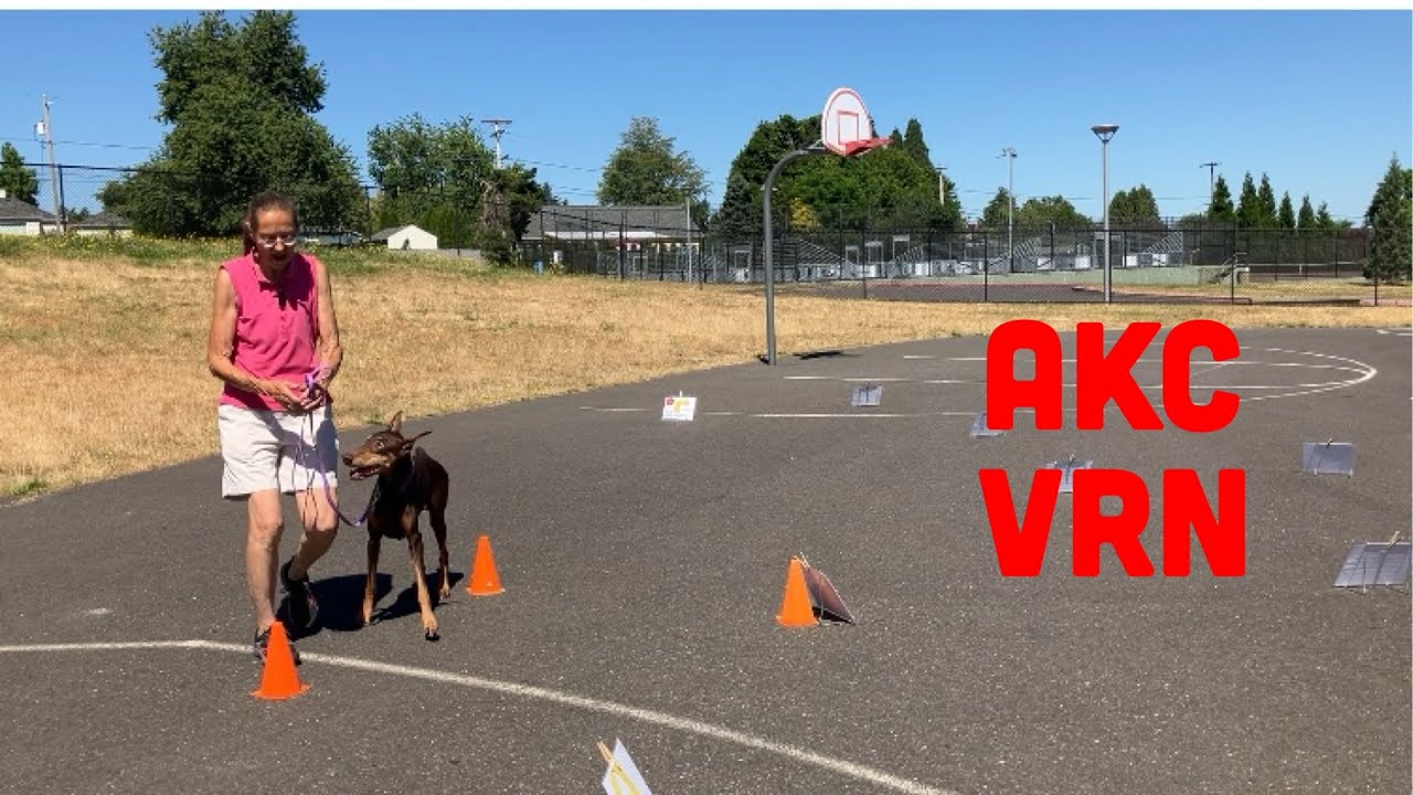 Virtual Rally Novice Course 1 Explained and Demonstrated