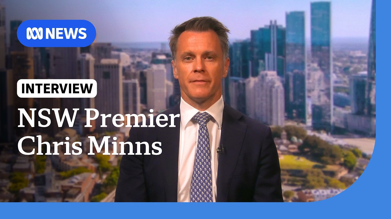 Chris Minns says One Nation right on cutting tobacco tax, wrong on gun control | ABC NEWS