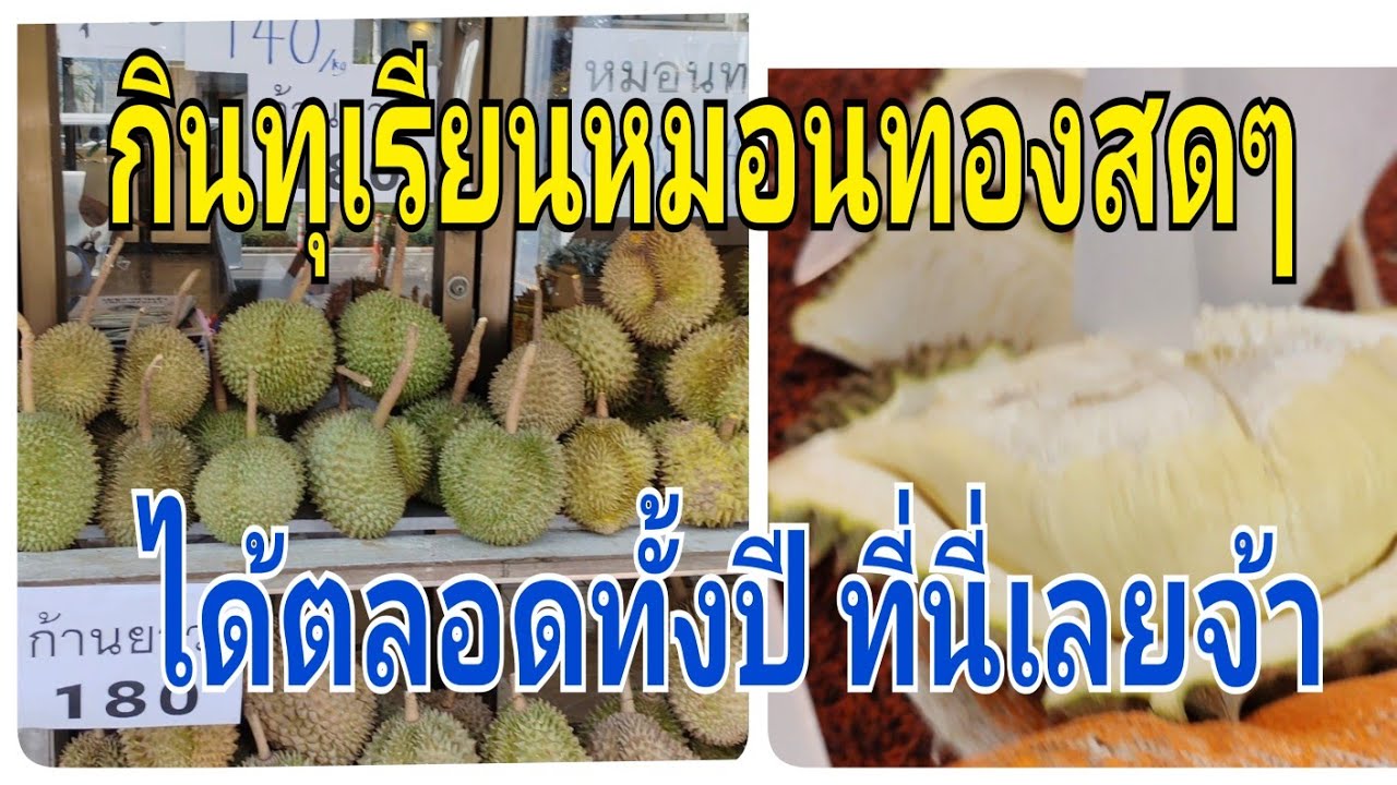 แชร์กินทุเรียนหมอนทองได้ตลอดปีที่นี่เลยจ้า😍#thailand #food #durian #fun 