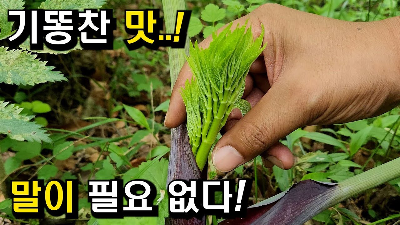 죽기 전에 꼭 먹어야 하는 기똥찬 맛!